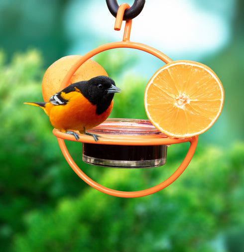 Oriole Hanging Bird Feeder with Clear Bowl, Orange